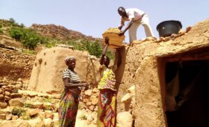 Dogon Women